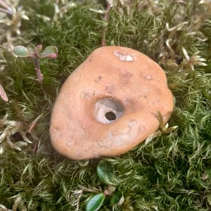 Feenstein_Älvasten Feenstein