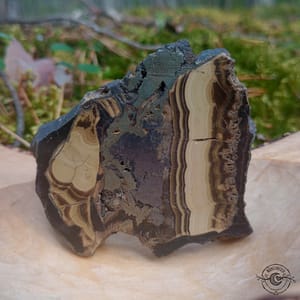 Schalenblende Schalenblende