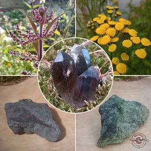 „växter“ set „Växter“ - set