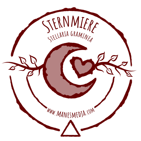Sternmiere stjarnblomma starwort Stellaria graminea