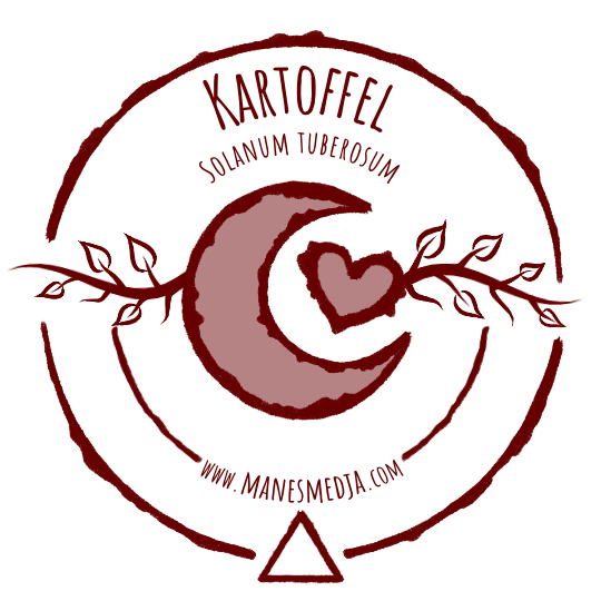 Kartoffel - Potatis - Potato // Solanum tuberosum