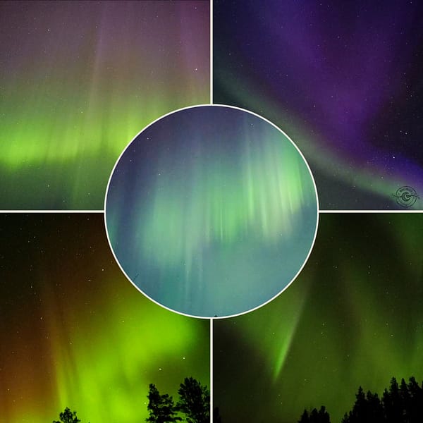 set 5 norrskenessenser, 5ml Set 5 NorrskenEssenser, 5ml