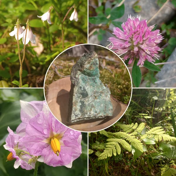 yoga & meditations set, 5ml „Yoga & Meditation“ - set, 5ml